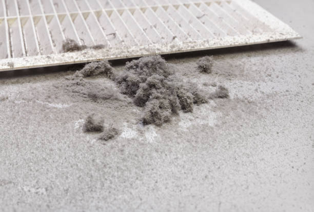 Best HVAC Duct Inspection Services  in Ellington, MO
