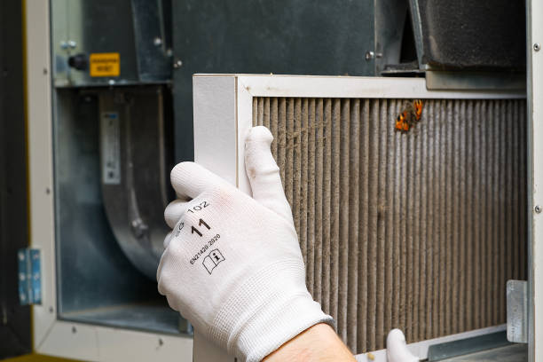 Best Air Duct Cleaning Near Me  in Ellington, MO
